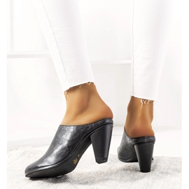 Black slippers on the Plotkin post 2