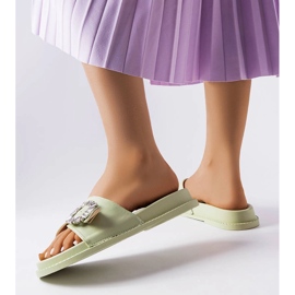 Green slides decorated with Griegsvei zircons 2