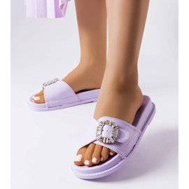 Purple sliders decorated with Griegsvei zircons 1