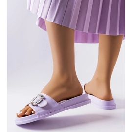 Purple sliders decorated with Griegsvei zircons 2