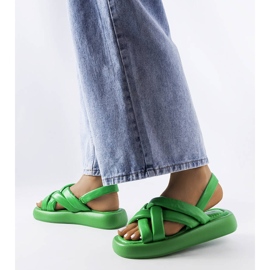 Primeau green platform slides 1