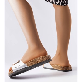 Silver buckle slides from Benoit 1