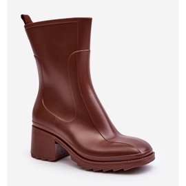 Women's Matte Wellington Boots with High Heels, Brown Bertaida 1