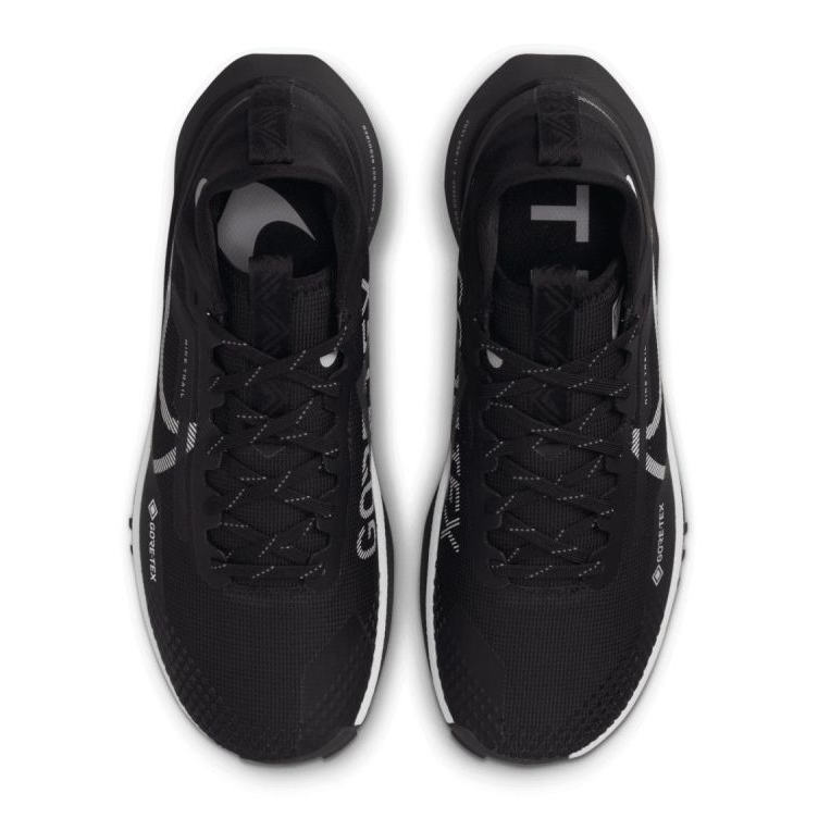 Running shoes Nike React Pegasus Trail 4 Gore-Tex W DJ7929-001 black 2