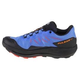 Salomon Pulsar Trail Gtx M 416080 running shoes blue 1
