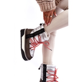 Women's snow boots on a thick vegan sole D.Franklin dfsh371006 silver 2 Women's snow boots on a thick vegan sole D.Franklin dfsh371006 silver 2