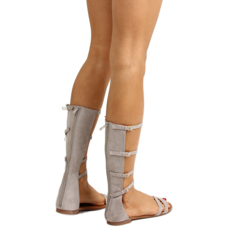 Gladiatorial Romanes with delicate stripes grey 1