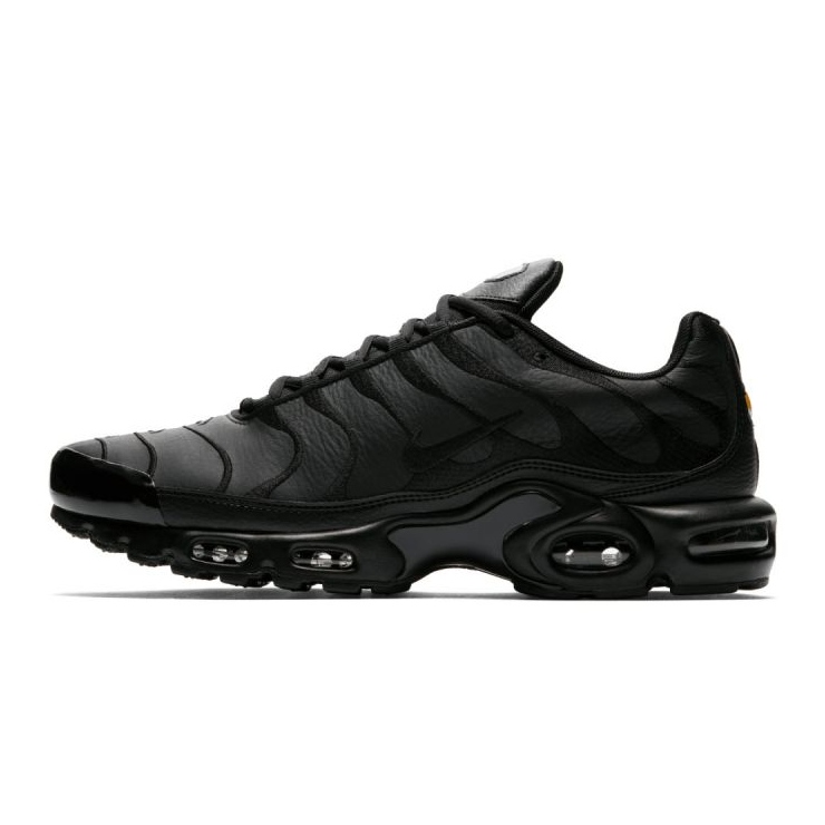Nike Air Max Plus M AJ2029-001 shoes black 1