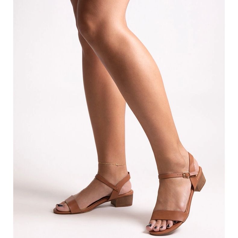 Brown low-heeled sandals Basina 1
