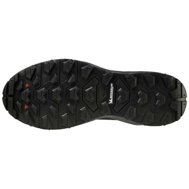 Mizuno Wave Daichi 7 Gtx Shoes J1GJ225638 black 1