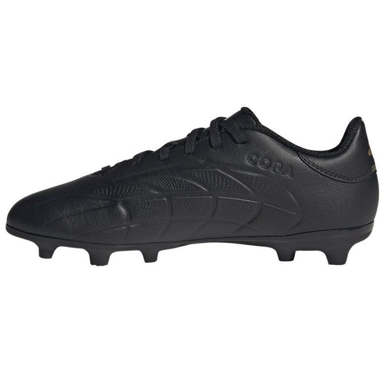 Adidas Copa PURE.2 League Fg IG8732 black 1 Adidas Copa PURE.2 League Fg IG8732 black 1
