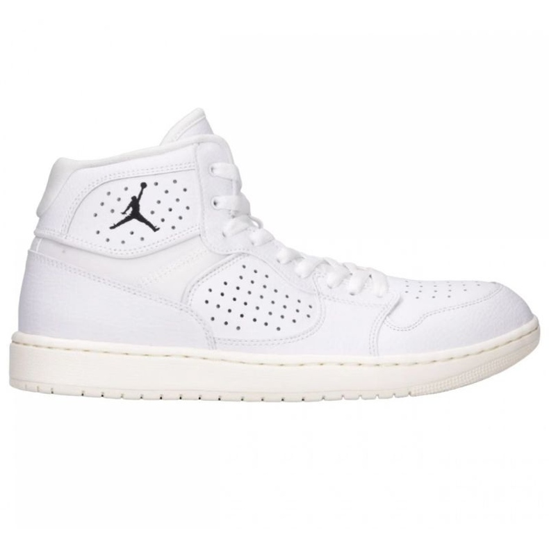 Nike Jordan Access AR3762-100 shoes white 1