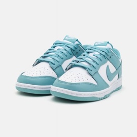 Nike Dunk Low Retro DV0833-106 shoes white 1