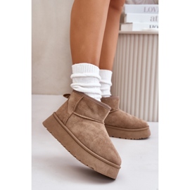 Women's Low Snow Boots On The Platform, Lined With Fur, Beige Saldren 2