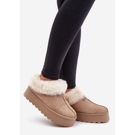 Snow boots with a low upper with fur on the platform Eco Suede Dark Beige Neathoria 1