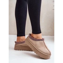 Women's Low Snow Boots With Embroidery On A Platform, Dark Beige Narirya 2