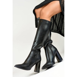 Women's high-heeled pointed boots, black GD-FL3038B 1