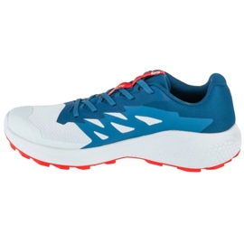 Salomon Alphaglide Ballad L47724300 running shoes grey 1