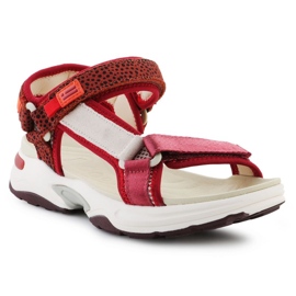 Sandals D.Franklin Sneakers Sandal Strips DFSH406003-Burg red 1 Sandals D.Franklin Sneakers Sandal Strips DFSH406003-Burg red 1