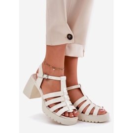 Painted women's leather sandals on the Vinceza 66621 light beige pillar 1