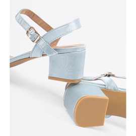 Blue sandals on a post 2