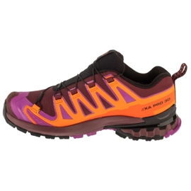 Salomon XA PRO 3D V9 GTX running shoes in L47961900 multicolored 1