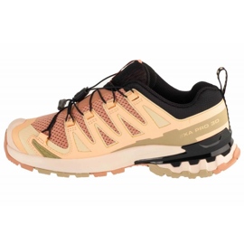 Salomon XA PRO 3D V9 running shoes in L47589100 brown 1 Salomon XA PRO 3D V9 running shoes in L47589100 brown 1