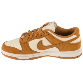 Nike Dunk Low shoes in HJ7673-100 1