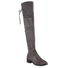 Queen Vivi Suede Over The Knee Boots grey 1