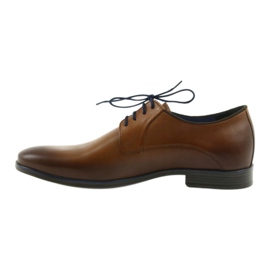 Brown men's shoes Nikopol 1644 2