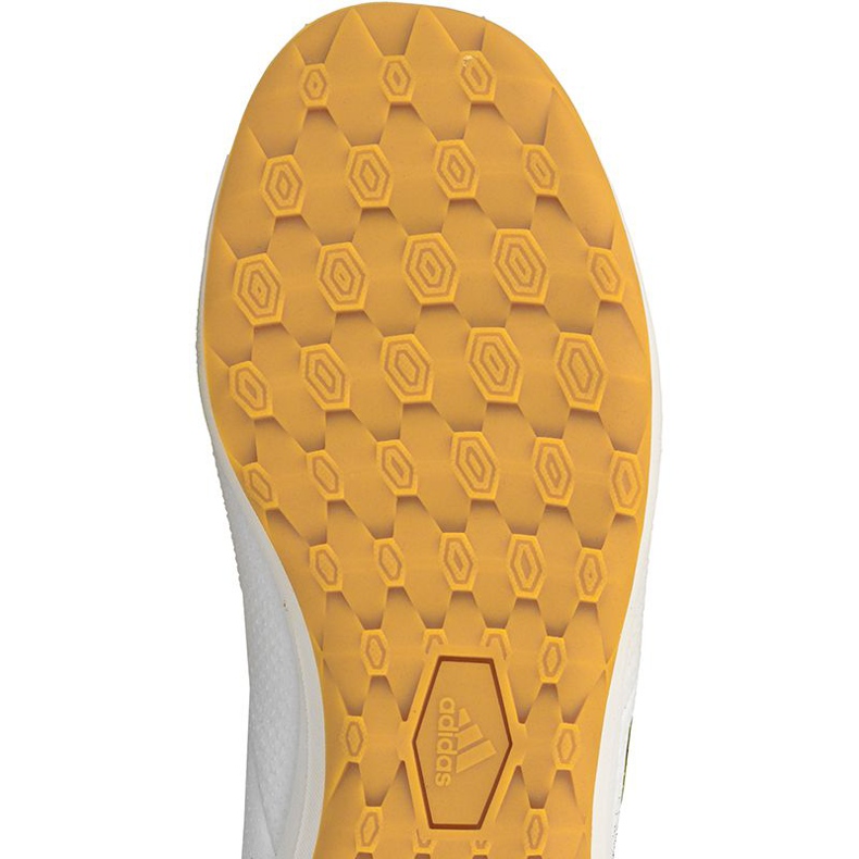 Indoor shoes adidas Ace Tango 17.3 In M CG3707 multicolored black 2