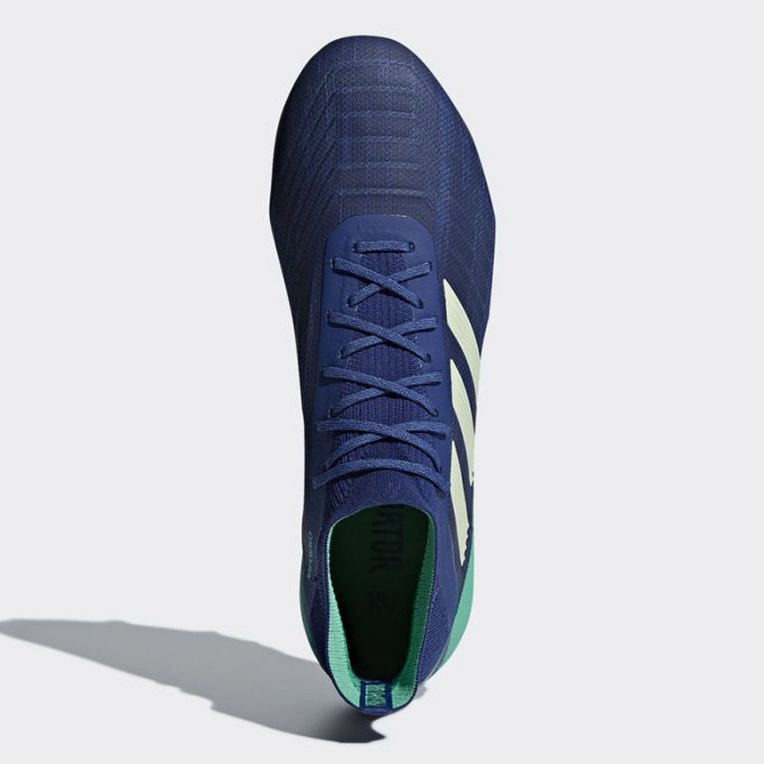 Football boots adidas Predator 18.1 Fg M CM7411 blue blue - KeeShoes