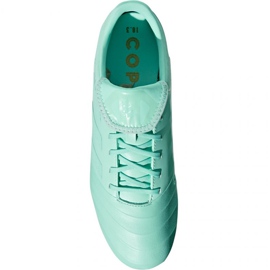Adidas Copa 18.3 Fg M DB2462 football boots blue blue 1