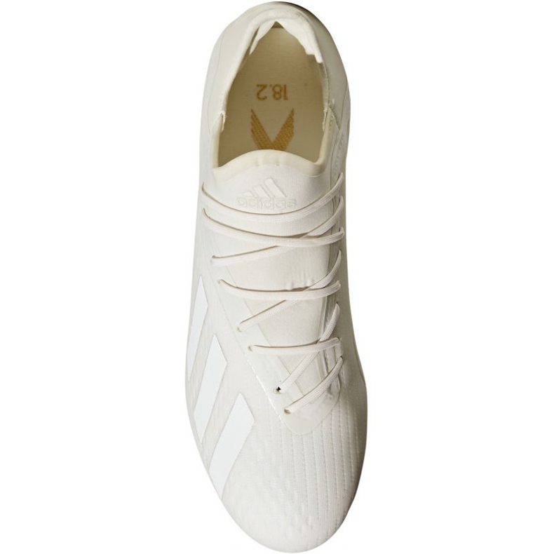 Adidas X 18.2 Fg M DB2181 football boots white white 2