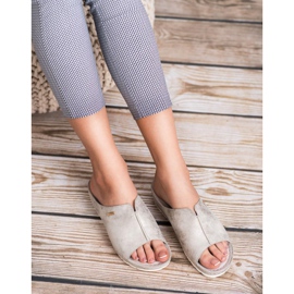 Goodin Silver Slippers grey 1