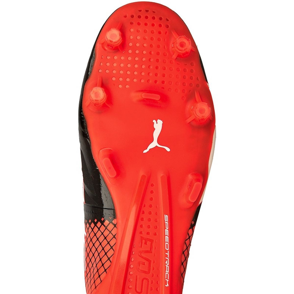 Evospeed 2025 1.5 fg