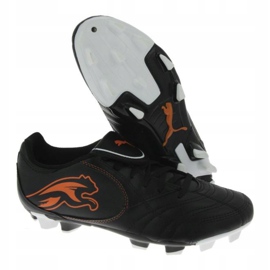 Football boots Puma Boca Fg Jr 102532 03 black black 1