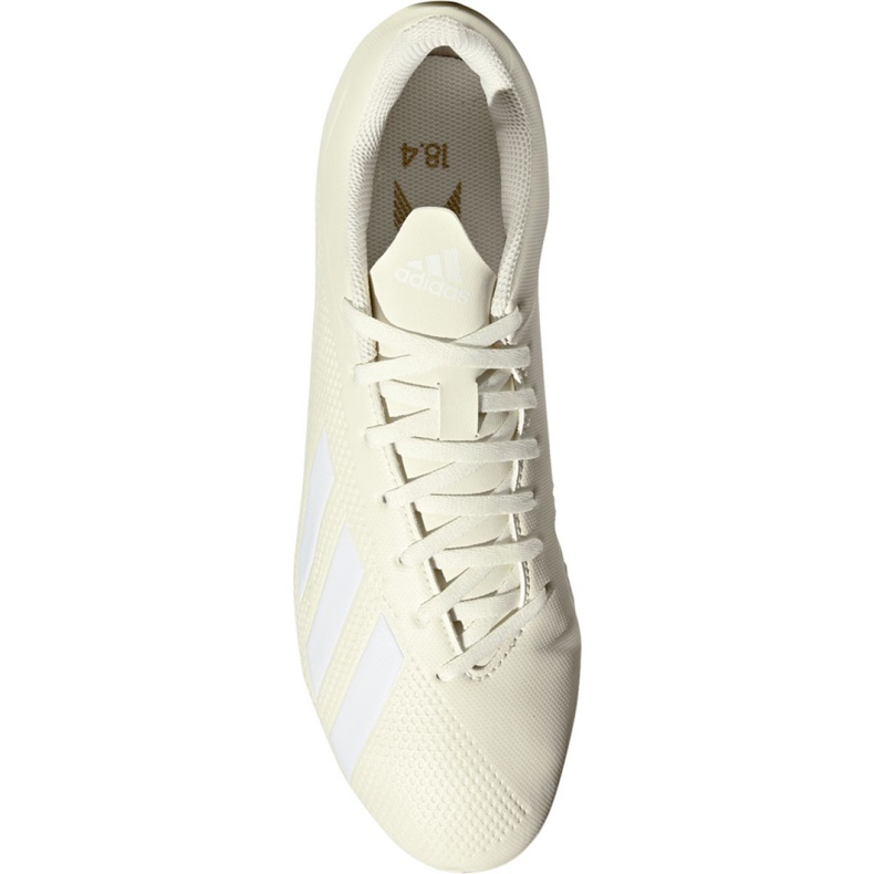 Adidas X 18.4 Fg M DB2187 football boots beige white 2 Adidas X 18.4 Fg M DB2187 football boots beige white 2