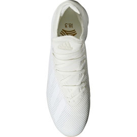 Indoor shoes adidas X Tango 18.3 In M DB2439 beige white 1