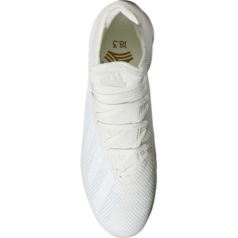Indoor shoes adidas X Tango 18.3 In M DB2439 white beige 1
