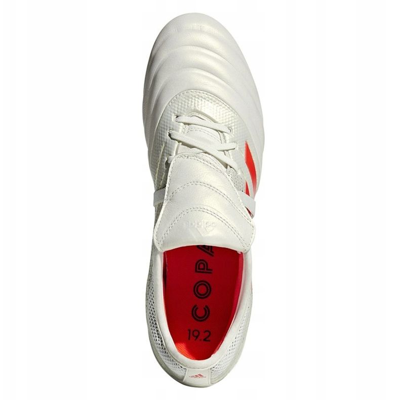 Adidas Copa Gloro 19.2 Fg M D98060 football boots multicolored white 2