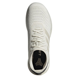 Indoor shoes adidas Predator 19.1 Tr M D98056 multicolored white 2