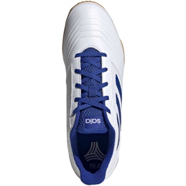 Indoor shoes adidas Predator 19.4 In Sala M D97974 white white 2