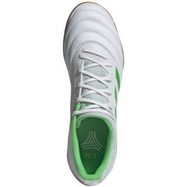 Indoor shoes adidas Copa 19.3 In Sala M BC0559 white white 1