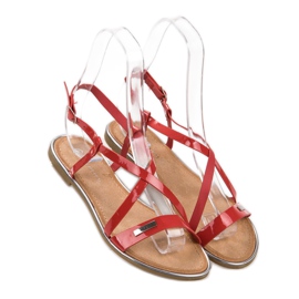Anesia Paris Lacquered Flat Sandals 2
