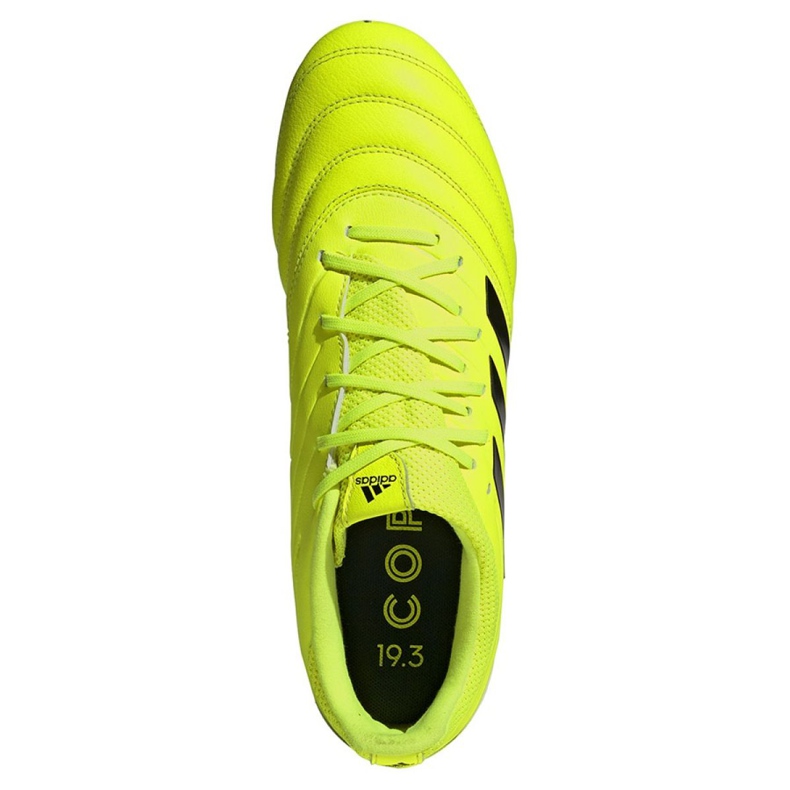 Adidas Copa 19.3 Sg M F35449 football boots yellow yellow 2