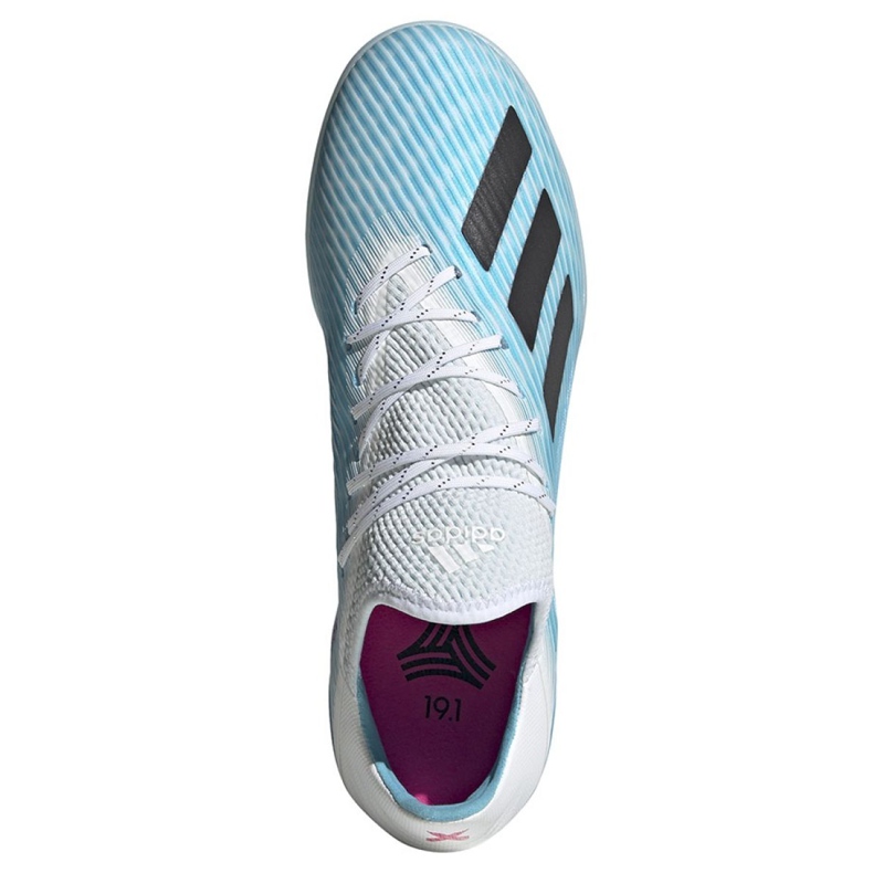 Indoor shoes adidas X 19.1 In M G25754 blue blue 2
