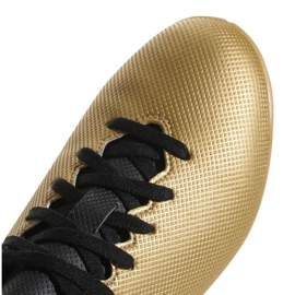Indoor shoes adidas X Tango 17.4 In Jr CP9052 golden 2