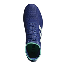 Adidas Predator 18.2 Fg M CP9293 football boots multicolored blue 1