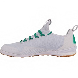 Adidas Ace Tango 17.1 In M BA8538 football boots white white 1